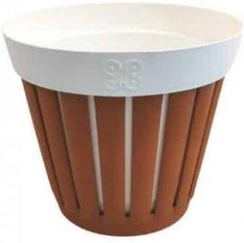Cornice Botanica Kreta D20 in Bianco e Terracotta Ecoplast