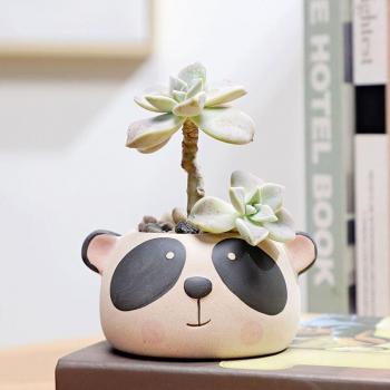 Maceta Verde “Panda” a Mano