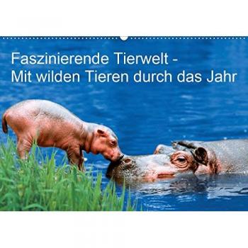 Faszinierende Tierwelt