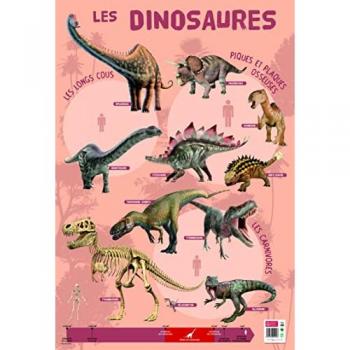 Affiche éducative Dinosaures
