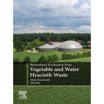 Vitalsource Technologies, Inc. Biomethane Production From Vegetable And Water Hyacinth Waste