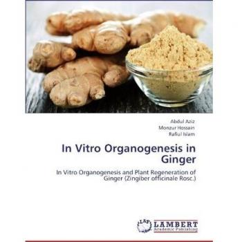 In Vitro Organogenesis in Ginger: In Vitro Organogenesis and Plant Regeneration of Ginger