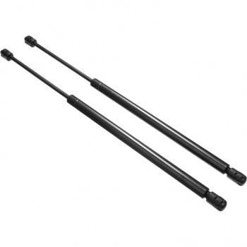 Renault Megane Grand Scenic Mk 2 (2003) Rear Gas Struts for Tailgate 8200377199