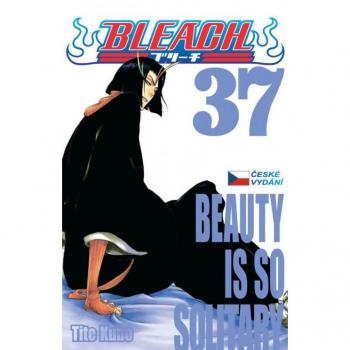 Bleach 37