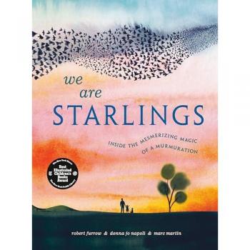 Robert Furrow We Are Starlings