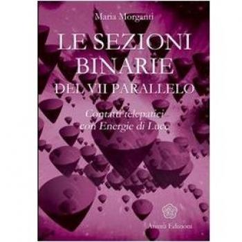 Le sezioni binarie del 7°parallelo. Contatti telepatici con energie di luce