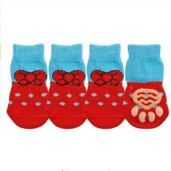 Zapatos de Chihuahua