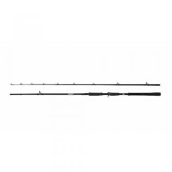 Abu Garcia Canne Beast 842XH Baitcasting 40-140g