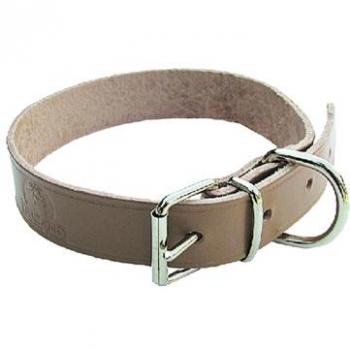 Collier en cuir pour chien 20 mm largeur