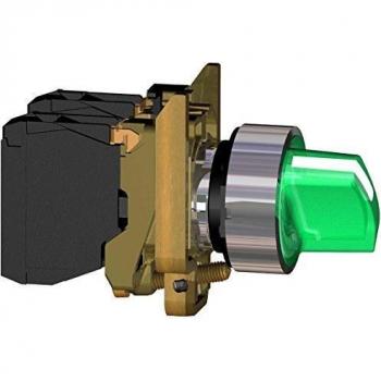 Dispositivo Completo Schneider Electric 3389110892222 – Bombilla + Interruptor Verde