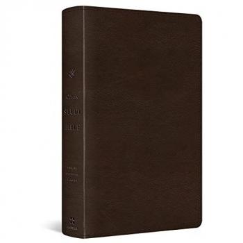 ESV Concise Study Bible™