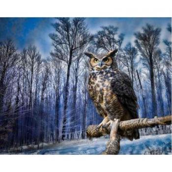 Foresta d'Acciaio: Ricamo Gufo 20x30 cm