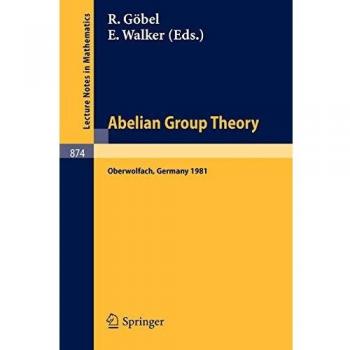 Abelian Group Theory