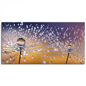 Wandbild Pusteblumen Tautropfen