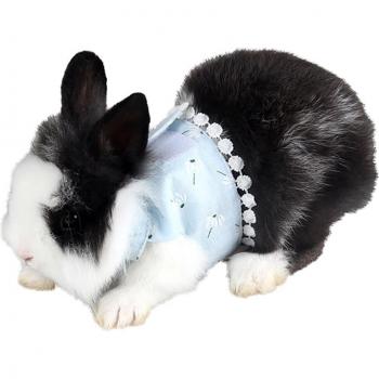 Kleine Haustierleine für Kaninchen und Cobayas