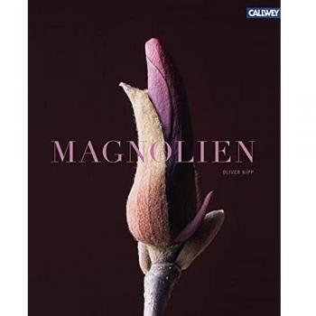 Magnolien
