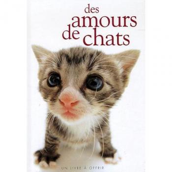 Amours de chats