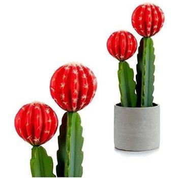 Cactus en plastique Ibergarden (11 x 44 x 16 cm)