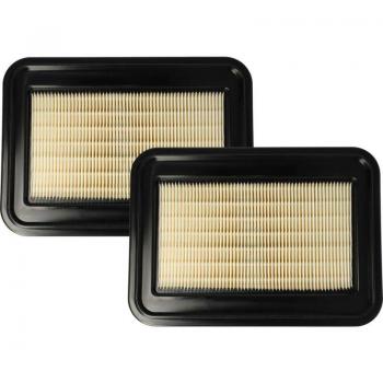 Pack de 2 Filtros Plisados para Aspiradora Flex 445.118