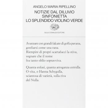 Notizie dal diluvio-Sinfonietta-Lo splendido violino verde