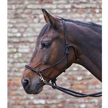 Waldhausen Black Rope Halter with Reins