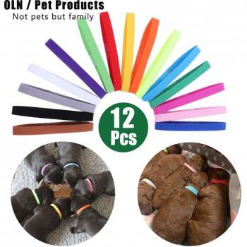 Collares de Nailon para Cachorros y Recién Nacidos