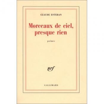 Morceaux de ciel, presque rien