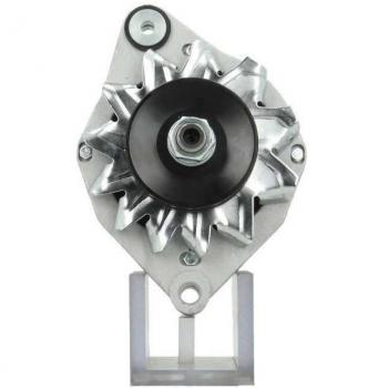 BV PSH Alternatore  815.019.055.000 70229002