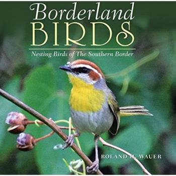 Borderland Birds: Nesting Birds of the Southern Border