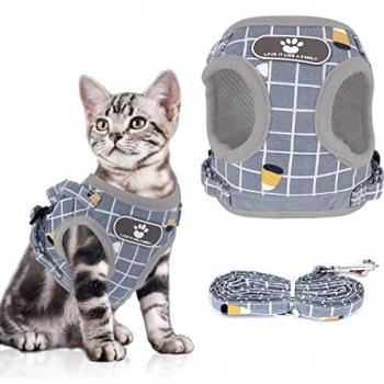 Outdoor Walking Harness for Puppies and Kittens