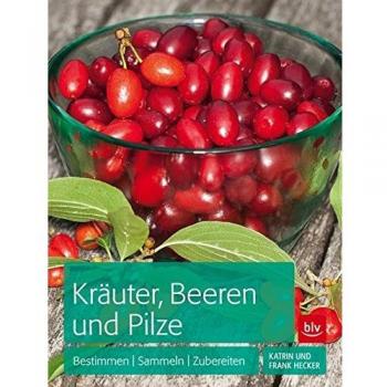 Kräuter, Beeren und Pilze: Bestimmen Sammeln Zubereiten