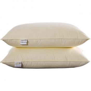 48x74cm Goose Down Bed Pillow