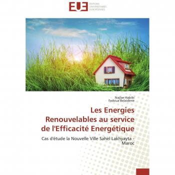 Les Energies Renouvelables au service de l'Efficacité Energétique: Cas d'étude la Nouvelle Ville Sahel Lakhyayta