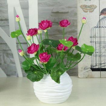 Kleine Lilien‑Lotusseide – Elegante Dekorationsidee für Hotel & Sekretariat