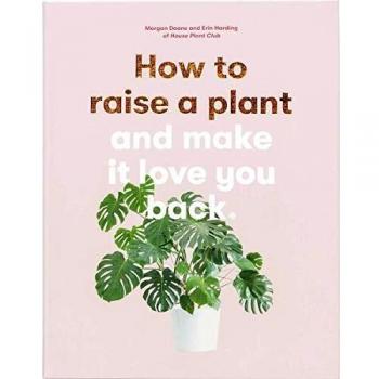 How to Raise a Plant