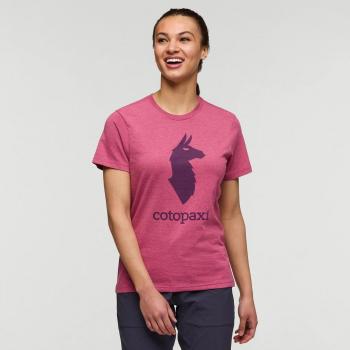 Llama Chic Cotopaxi Donna