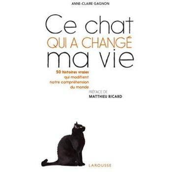 Ce chat qui a changé ma vie