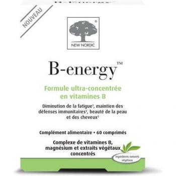 B‑Energía Nórdica 60 Sustentable