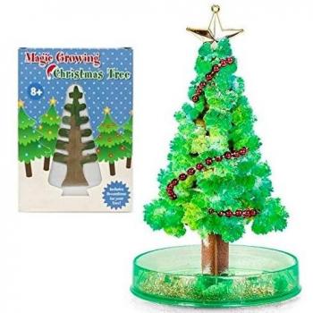 Rainbow Growing Christmas Tree Adventure