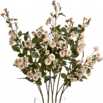 Natural Cream Wild Meadow Rose