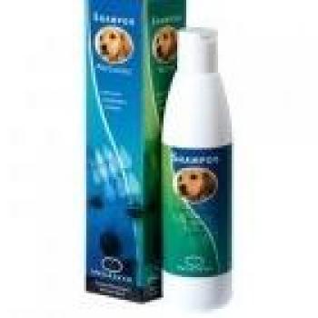 Shampoo Autosciacquante per Cani e Gatti Ingenya 250ml