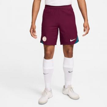 Short de sport Nike Dri-FIT ADV Paris Saint-Germain pour homme