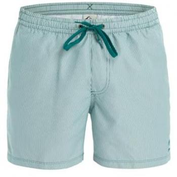 Maillot de bain Quiksilver Everyday 15 Bleu Aqua