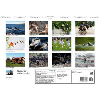 Etudes de mouvements