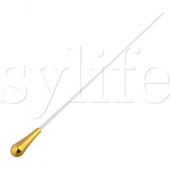 Palito Dorado de Dirección Musical