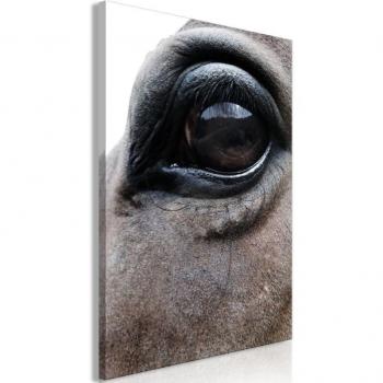 Marcos y Colores: Cuadro Decorativo Honest Eyes 80x120 en Lienzo