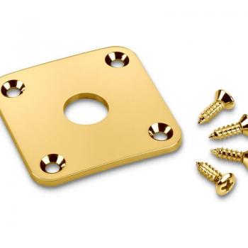Schaller Les Paul Gold Curved Input Jack Plate