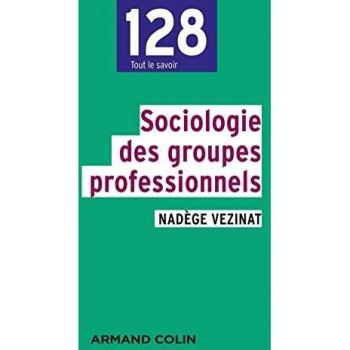 Sociologie des groupes professionnels