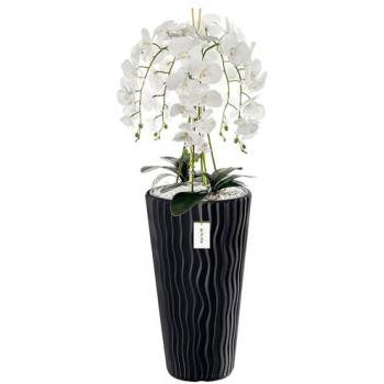 Orchidée décorative, pot contemporain, 115 cm de haut