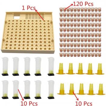Jaula de Receptor Completo para Apicultura